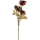 Tørret Rose Stilk Bordeaux 54 cm